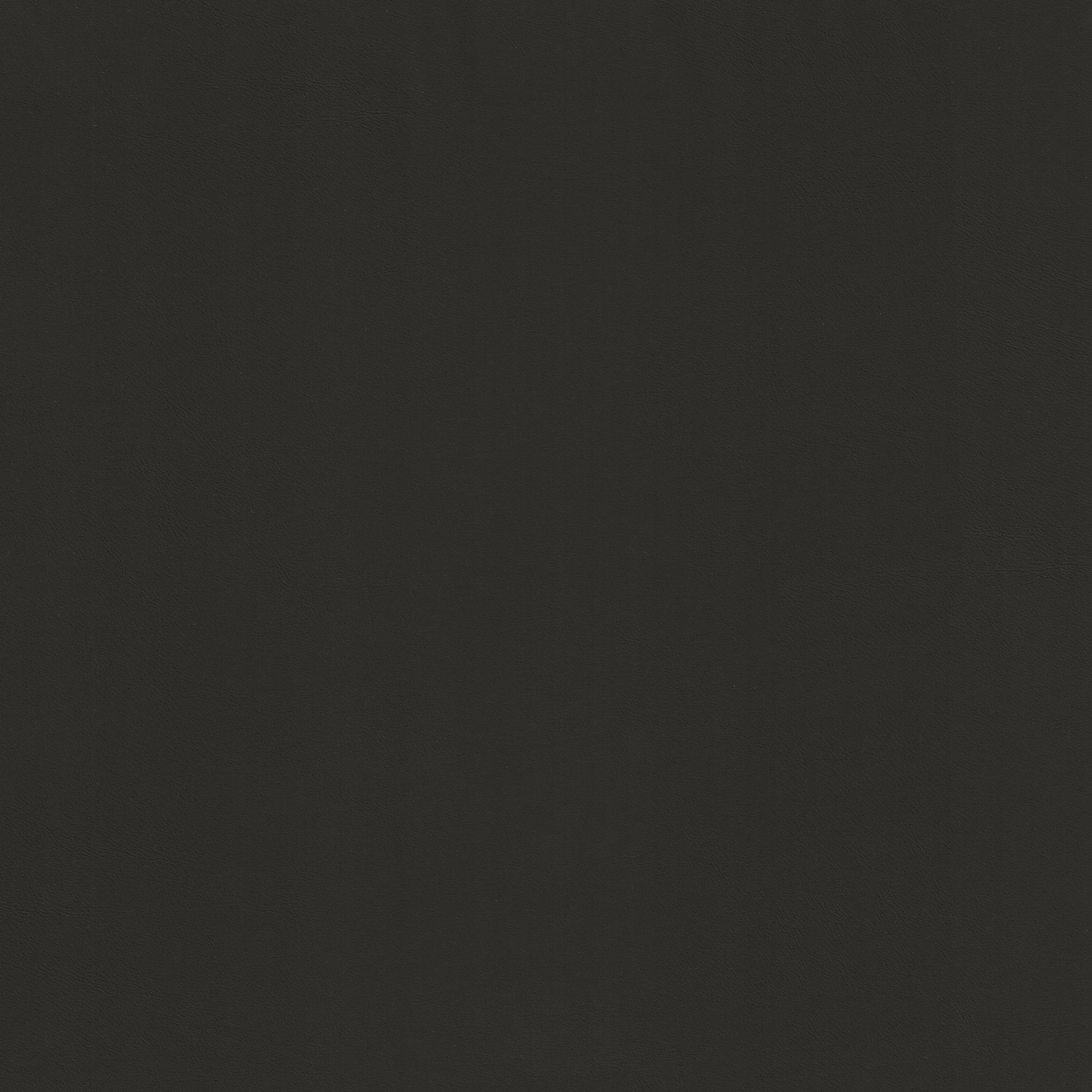 Silicon 12