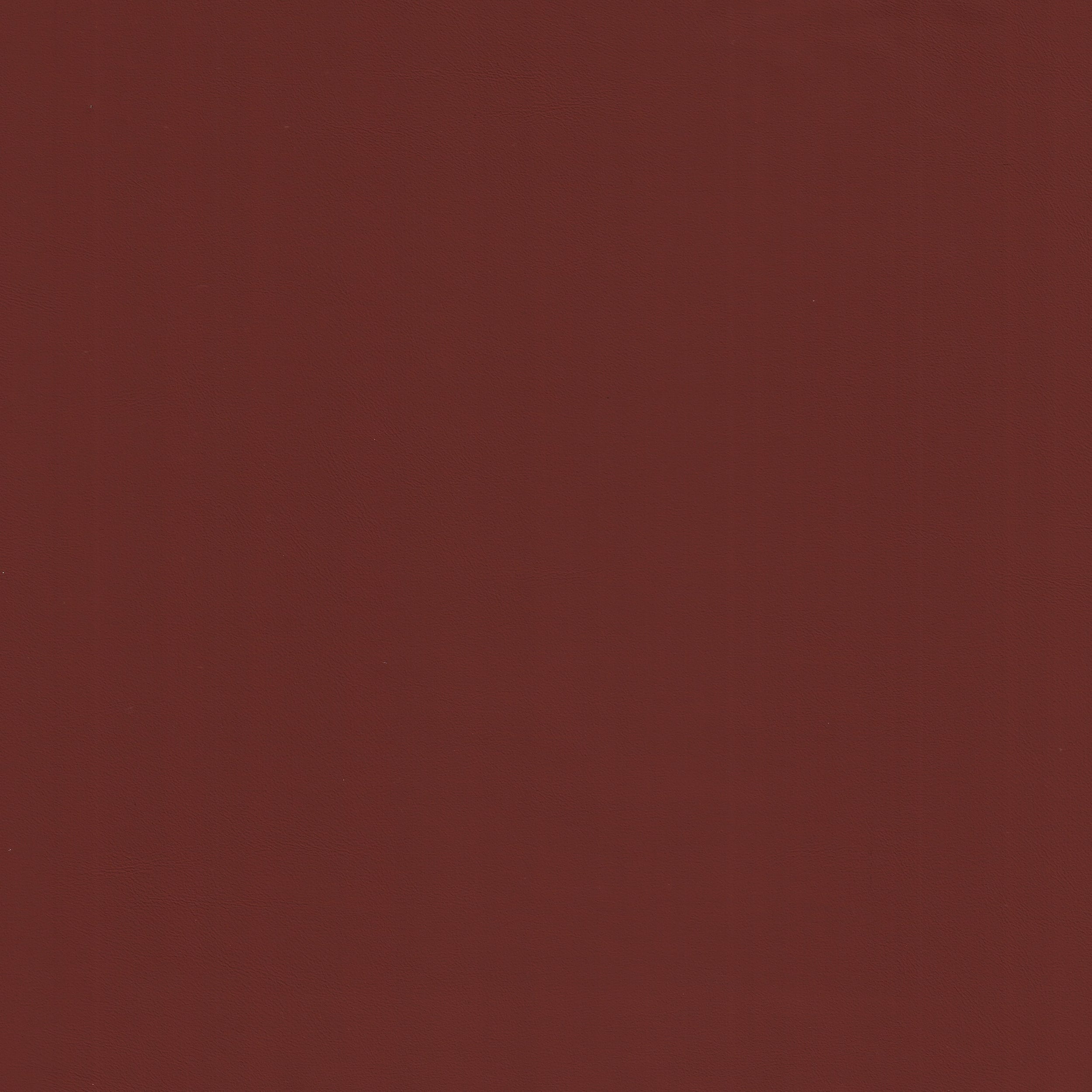 Silicon 19