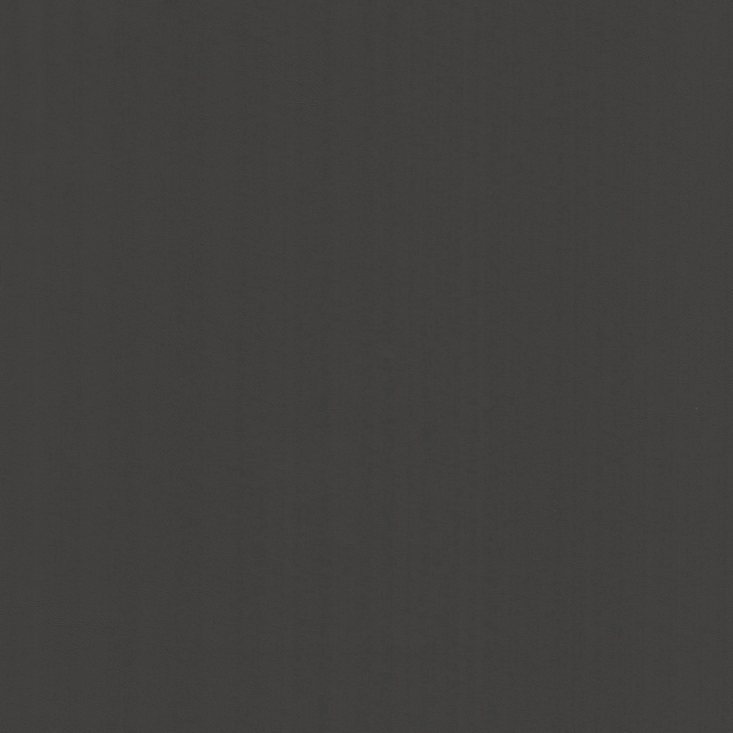 Silicon 24