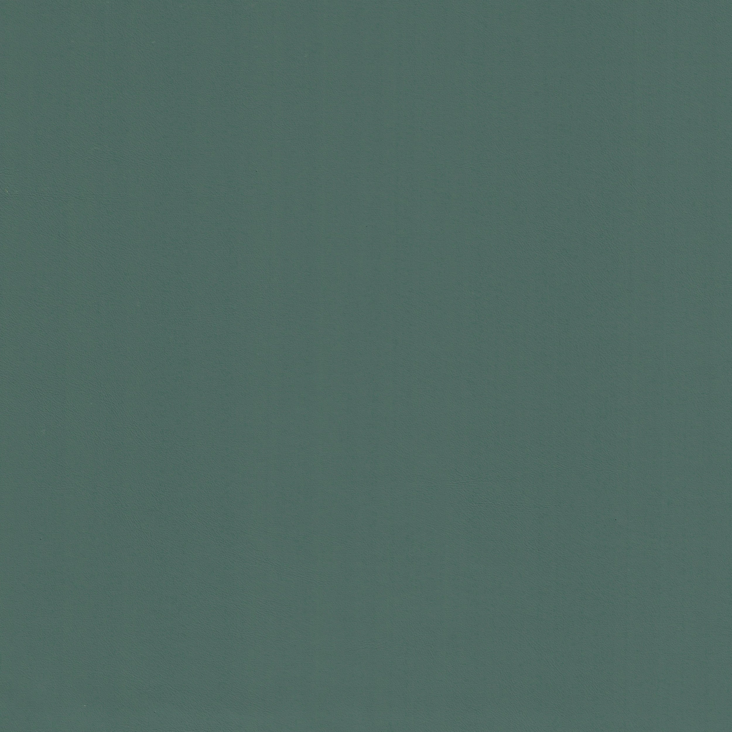 Silicon 29