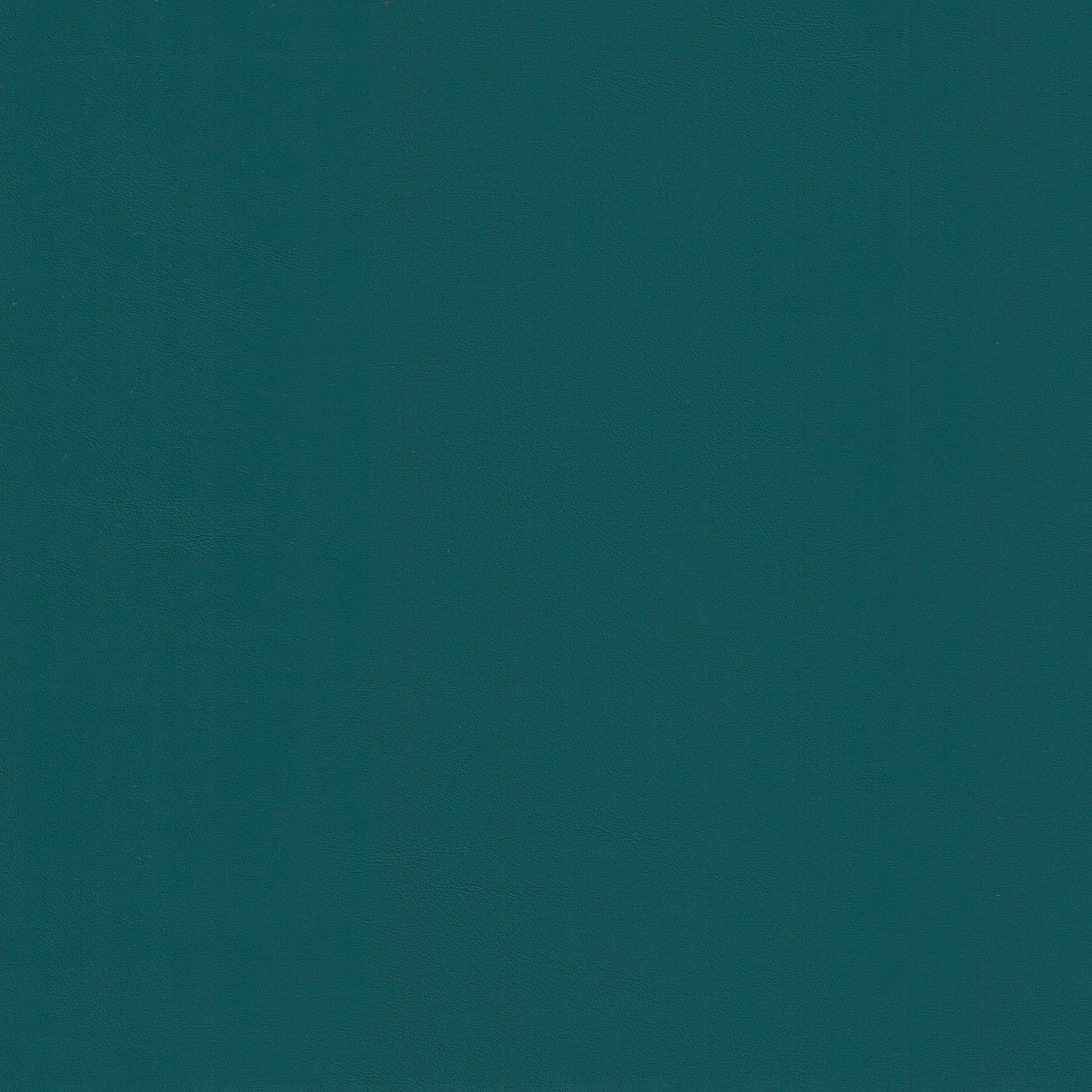 Silicon 31