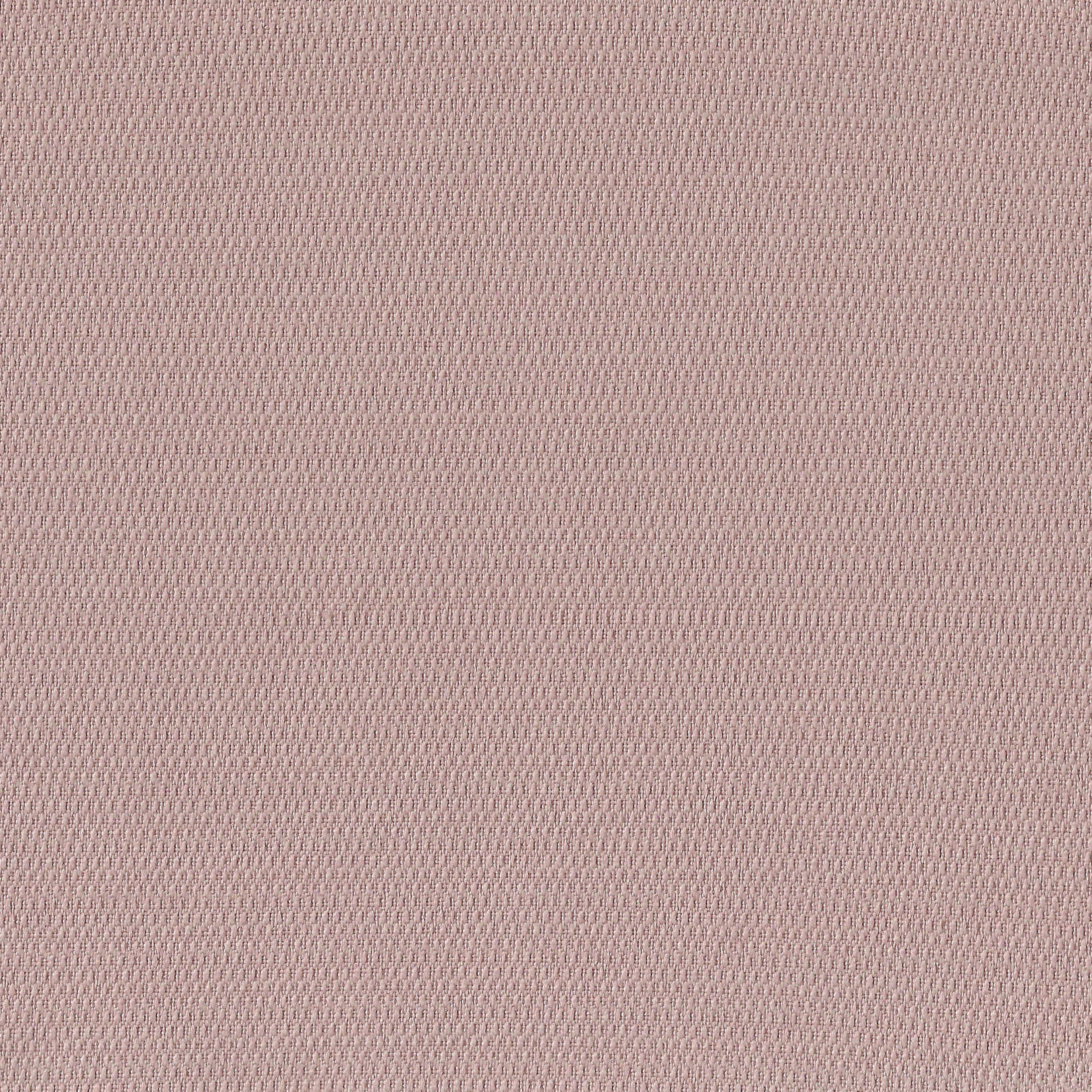 Verona 11